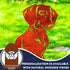 Dachshund Dog Loss Garden Ornament Memorial Personalised Statue